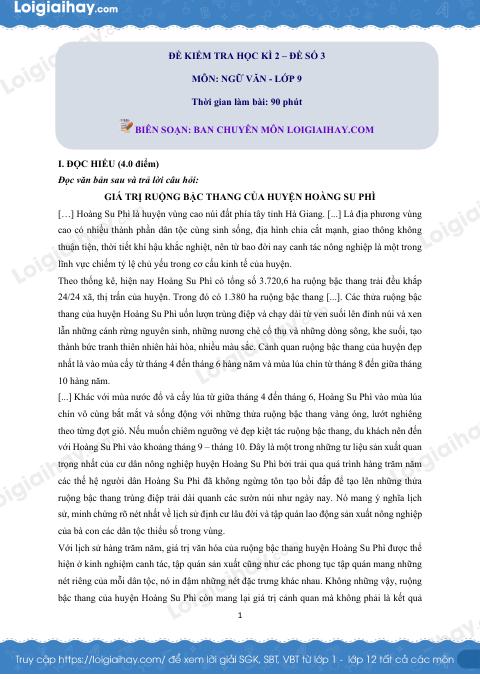 Đề thi học kì 2 Văn 9 - Đề số 3